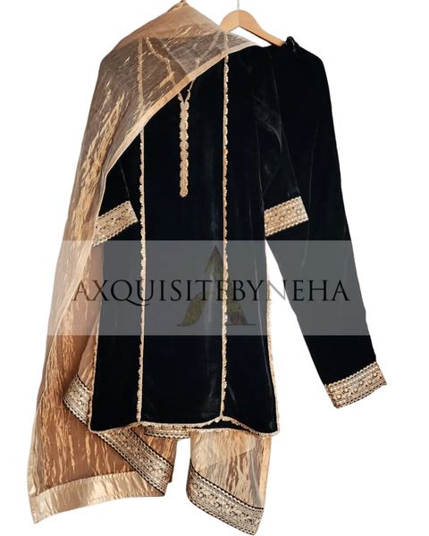 Velvet suit Pure Tissue Dupatta